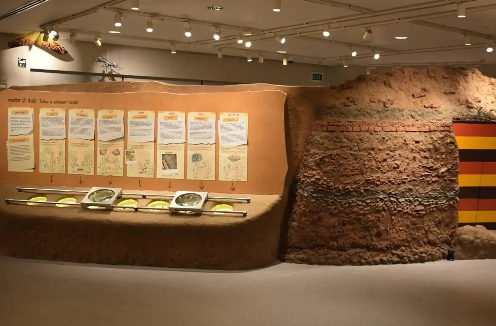 Showcase of vast expanse of collection