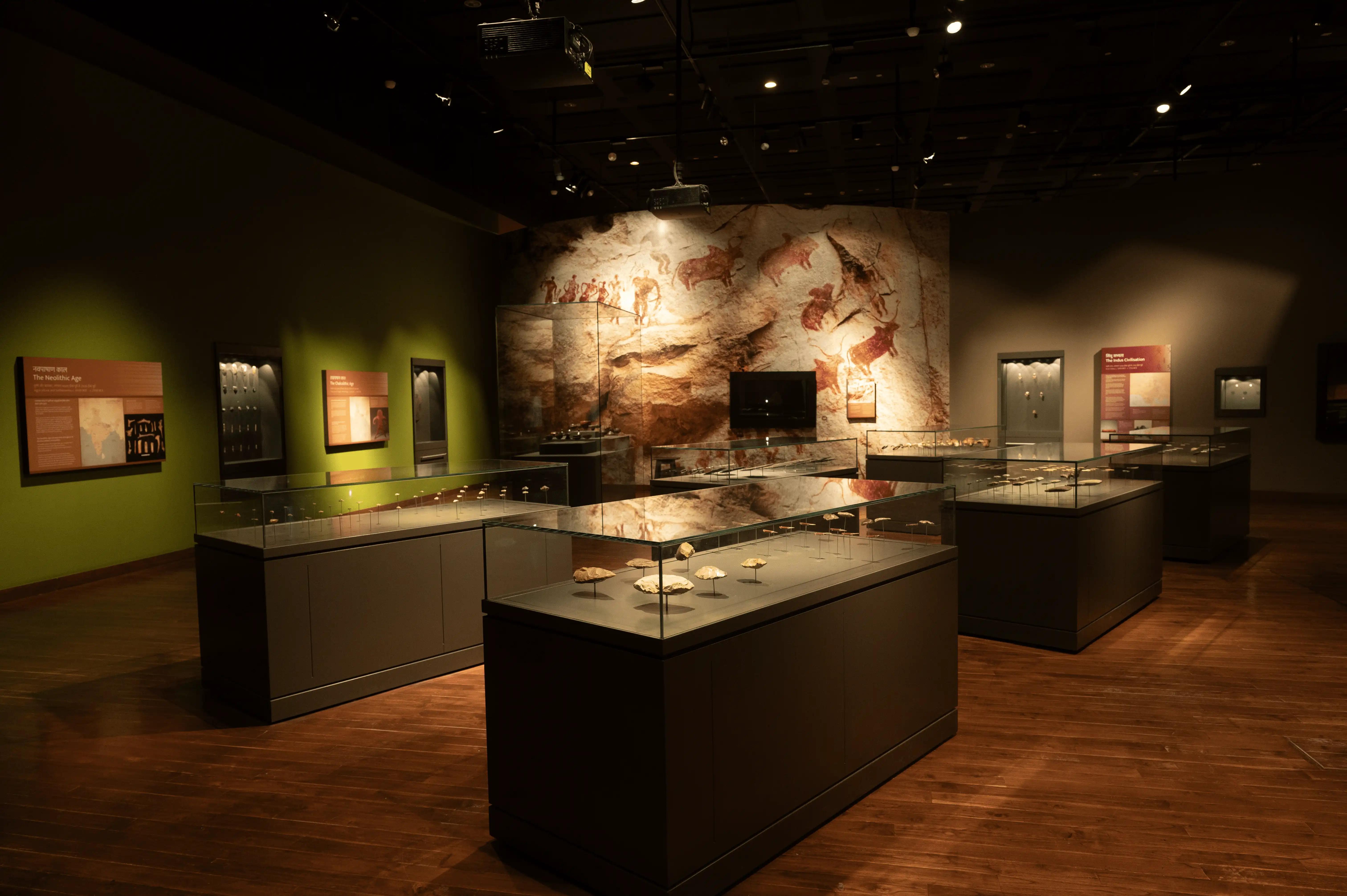 Showcase of vast expanse of collection